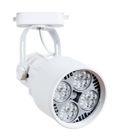 Настенно-потолочный светильник Arte Lamp A6252PL-1WH, белый