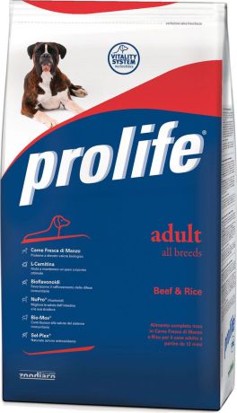 Корм сухой Prolife для взрослых собак, говядина, рис, 800 г