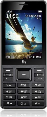 Мобильный телефон Fly TS114, черный