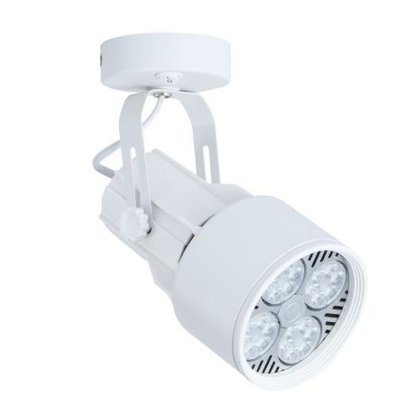 Настенно-потолочный светильник Arte Lamp A6252AP-1WH, белый