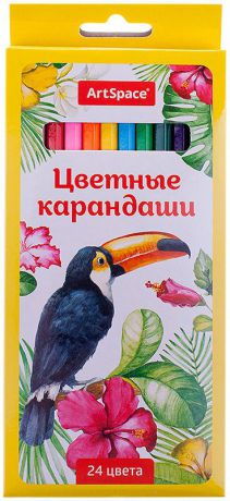 Набор цветных карандашей ArtSpace Птицы, 229346, 24 цвета