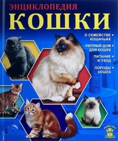 Оксана Балуева Кошки