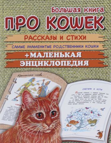 Р. Е. Данкова Большая книга про кошек