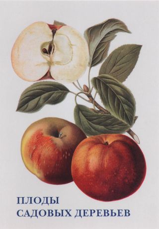 , Плоды садовых деревьев (набор из 15 открыток)