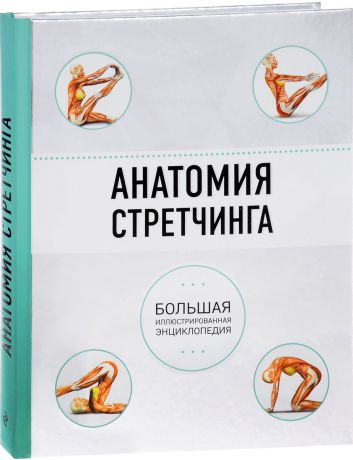 Анатомия стретчинга. Большая иллюстрированная энциклопедия