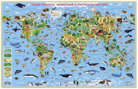 Наша планета. Растительный и животный мир. Карта