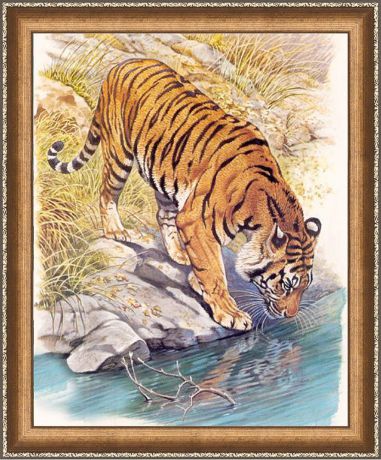 Картина стразами Алмазная Живопись "Тигр у реки" (АЖ-1523), 28 цветов, 40х50 см
