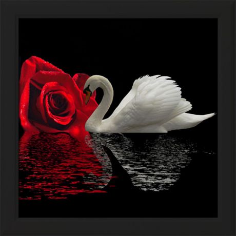 Картина стразами Алмазная Живопись "Белый лебедь" (АЖ-422), 24 цвета, 55х50 см