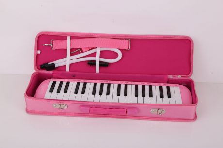 Детский музыкальный инструмент Future Star FF-37K/P, розовый
