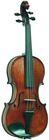 Скрипка Vasile Gliga AW-V012-S