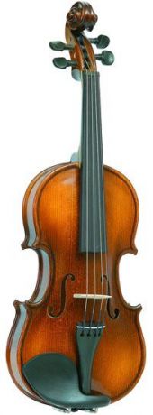 Скрипка Vasile Gliga B-V018