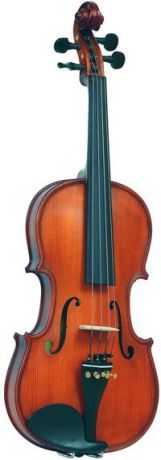 Скрипка Vasile Gliga S-V034