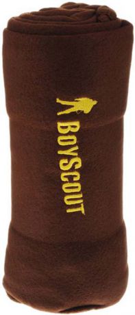 Плед для пикника "Boyscout", цвет: коричневый, 150 х 130 см