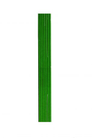 Ароматический диффузор VAN&MUN Палочки для диффузора фибровые зеленые 20см 3мм, зеленый