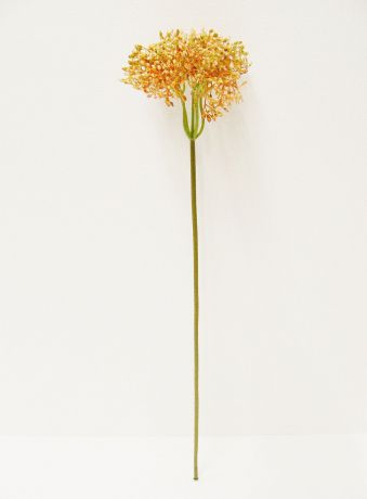Искусственные цветы Coneko 555345, оранжевый