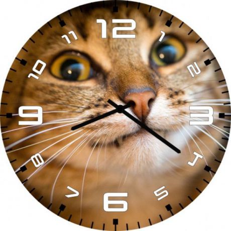 Настенные часы Kitch Clock 3001607