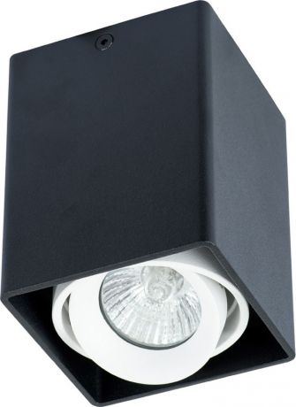 Потолочный светильник Arte Lamp Pictor, A5655PL-1BK, черный