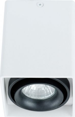 Потолочный светильник Arte Lamp Pictor, A5655PL-1WH, белый