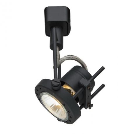 Настенно-потолочный светильник Arte Lamp A4300PL-1BK, черный