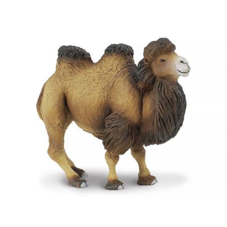 Фигурка Safari Ltd Двугорбый верблюд, 290929 коричневый