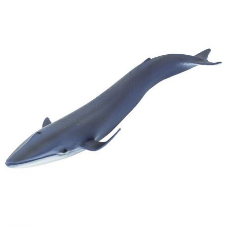 Фигурка Safari Ltd Синий кит, 223229 синий