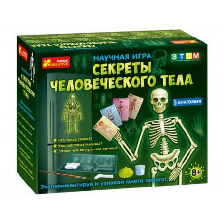 Набор для опытов Ranok-creative Анатомия Скелет человека