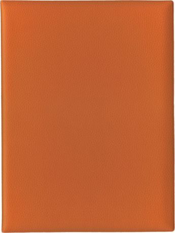 Папка с файлами Стрекоза, A4+, 1685, оранжевый