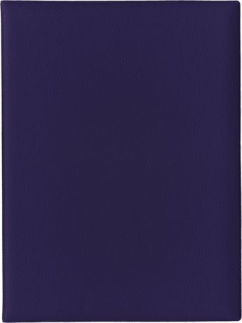 Папка с файлами Стрекоза, A4+, 1687, фиолетовый