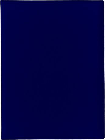 Папка с файлами Стрекоза, A4+, 1686, синий