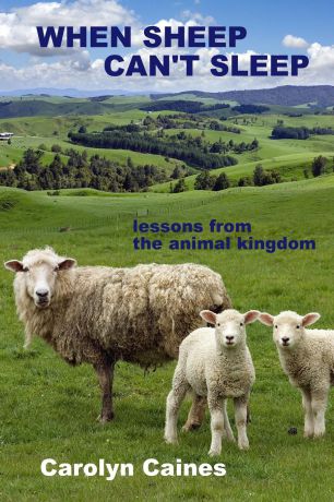 Carolyn Caines When Sheep Can.t Sleep. lessons from the animal kingdom