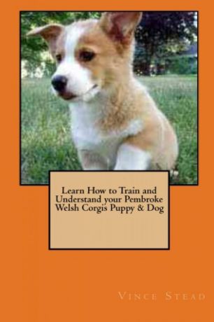 Vince Stead Learn How to Train and Understand your Pembroke Welsh Corgis Puppy . Dog