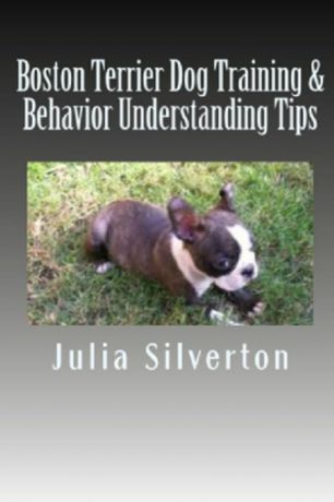 Julia Silverton Boston Terrier Dog Training . Behavior Understanding Tips