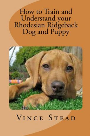 Vince Stead How to Train and Understand your Rhodesian Ridgeback Dog and Puppy