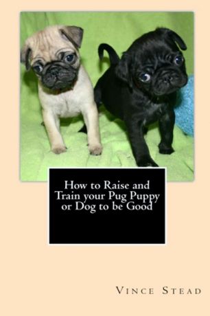 Vince Stead How to Raise and Train your Pug Puppy or Dog to be Good