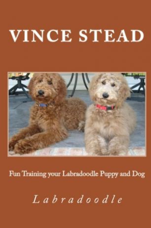 Vince Stead Fun Training your Labradoodle Puppy and Dog