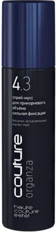 Спрей для укладки волос ESTEL PROFESSIONAL HCO.250