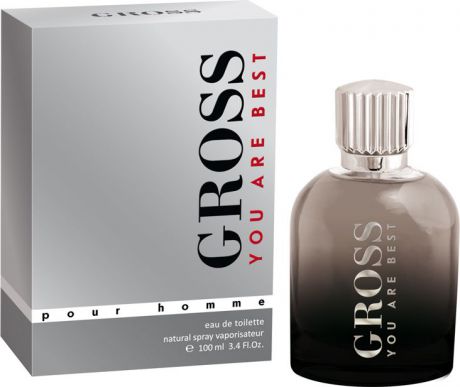 Christine Lavoiser Parfums Туалетная вода Gross , мужская, 100 мл