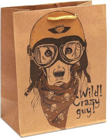Подарочная упаковка Miland "Собака в шлеме", 18 х 23 х 10 см