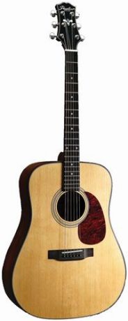 Акустическая гитара Peerless Archtop & Acoustic PD-60