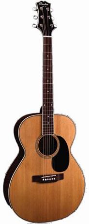 Акустическая гитара Peerless Archtop & Acoustic PGA-55