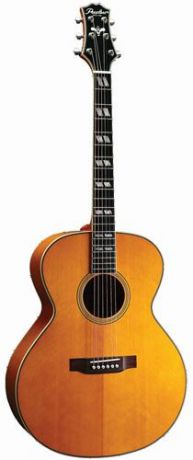 Электро-акустическая гитара Peerless Archtop & Acoustic PJ-60E