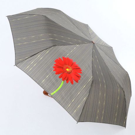 Зонт Airton 3631-177
