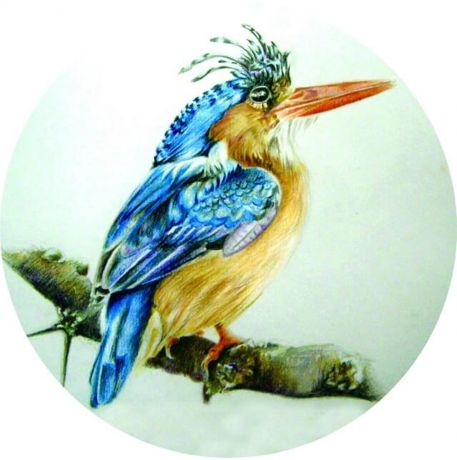 Набор для вышивания крестиком Цветной "Птица на ветке", 21 х 21 см