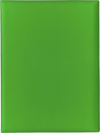 Папка с файлами Стрекоза, A4+, 9899, зеленый