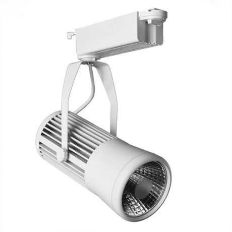 Настенно-потолочный светильник Arte Lamp A6330PL-1WH, белый