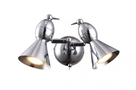 Настенно-потолочный светильник Arte Lamp A9229AP-2CC, серый металлик