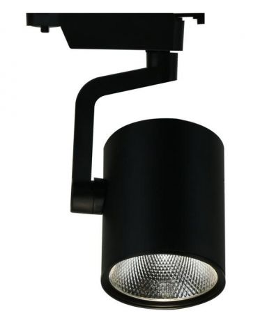 Настенно-потолочный светильник Arte Lamp A2320PL-1BK, черный