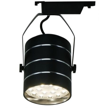 Настенно-потолочный светильник Arte Lamp A2718PL-1BK, черный