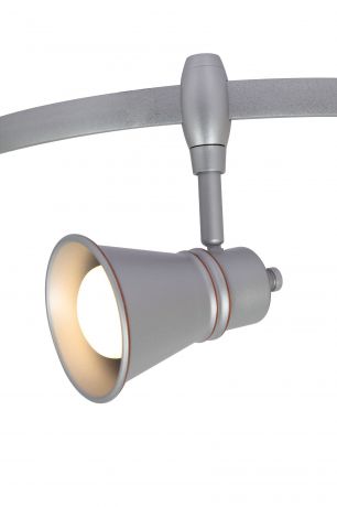 Настенно-потолочный светильник Arte Lamp A3057PL-1SI, серебристый