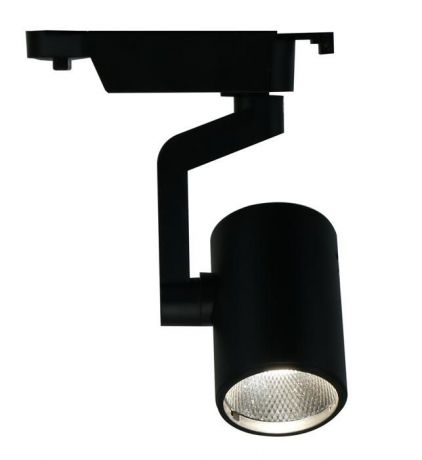 Настенно-потолочный светильник Arte Lamp A2310PL-1BK